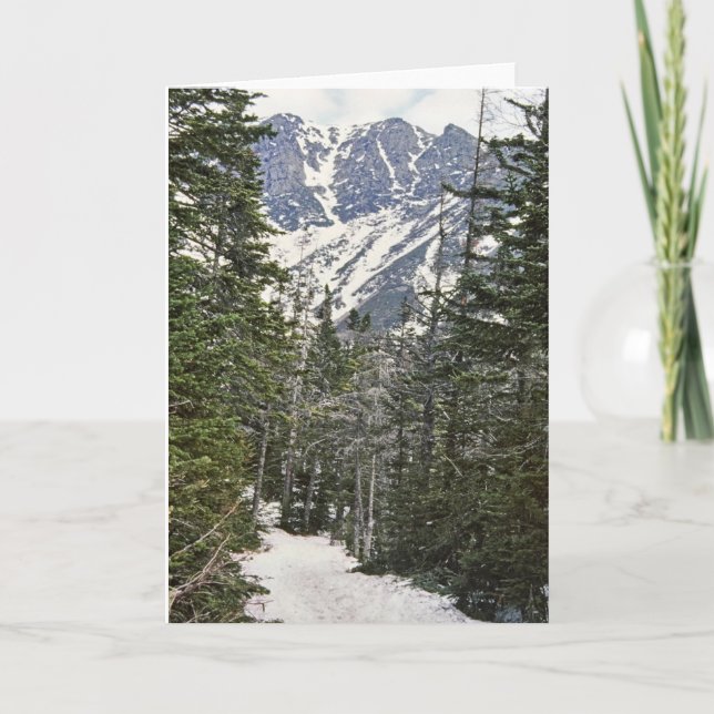 Vinterslinga för Mt Washington Helgkort (Framsida)