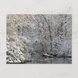 Vintersnö Fredlig Vattenvy Vykort