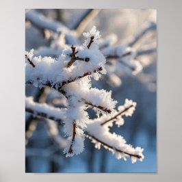 Vintersnö Frostig Trädgren Solljus Poster
