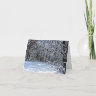 Vintersnö Notecard Kort