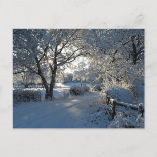 Vintersnöfall Vykort