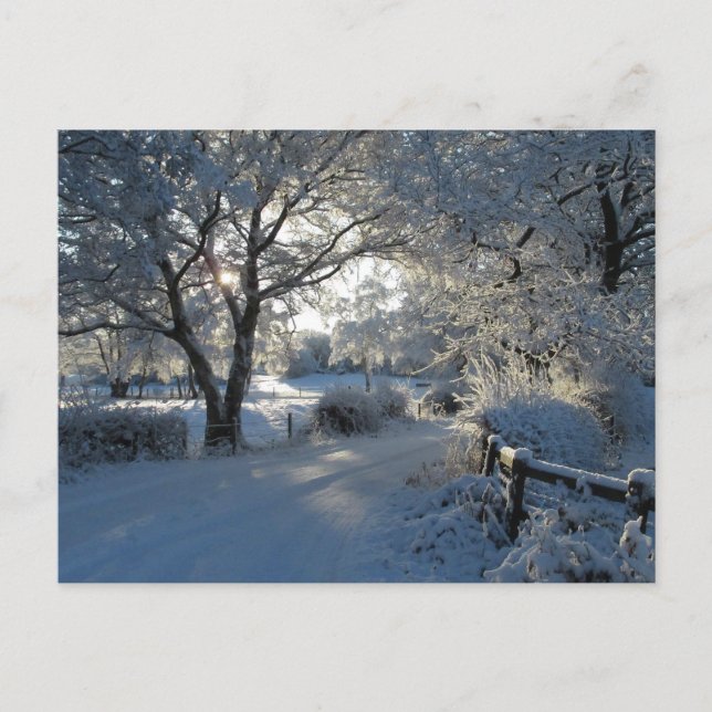 Vintersnöfall Vykort (Framsida)
