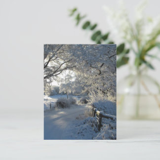 Vintersnöfall Vykort