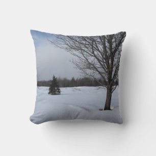vintersnöslandskapet land i coola under vintern kudde