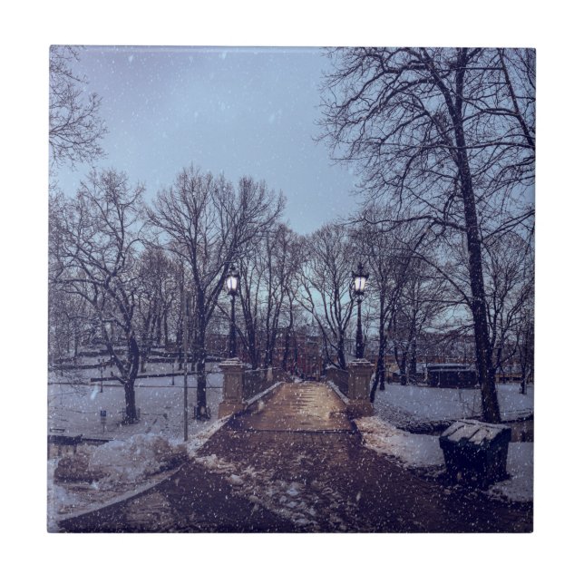 vintersnöstadspark på kvällen kakelplatta (Framsidan)