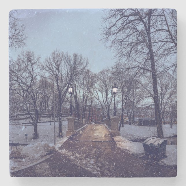 vintersnöstadspark på kvällen stenunderlägg (Framsidan)