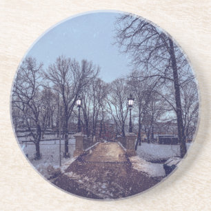 vintersnöstadspark på kvällen underlägg