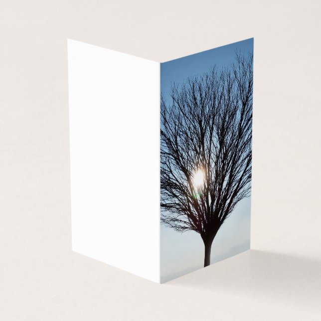 vintersol kort (Utsida)