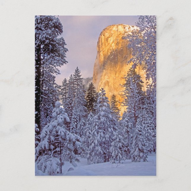 Vintersol på El Capitan i Yosemite Vykort (Framsida)