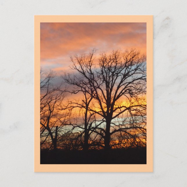 Vintersolnedgång 1-anpassningsbar vykort (Framsida)