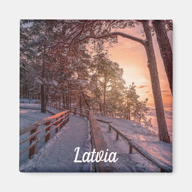 Vintersolnedgång i gräs nära sjömagnet magnet (Framsidan)