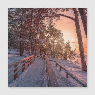 Vintersolnedgång i gräs-skogen nära havs