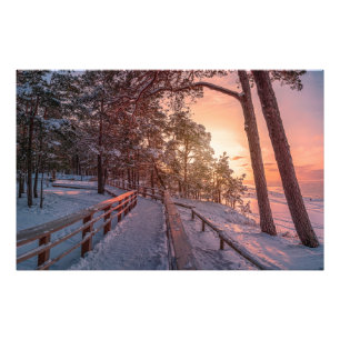 Vintersolnedgång i gräs-skogen nära havs fototryck