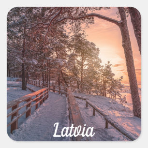 Vintersolnedgång i gräs-skogen nära havs fyrkantigt klistermärke