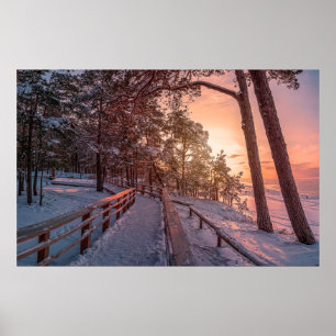Vintersolnedgång i gräs-skogen nära havs poster