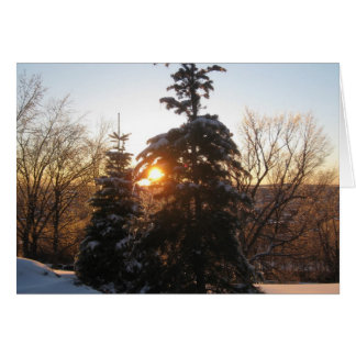 Vintersolnedgång med evergreens hälsningskort