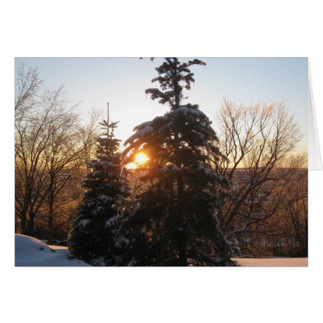 Vintersolnedgång med evergreens hälsningskort (Framsidan Horizontal)