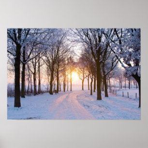 Vintersolnedgång Poster