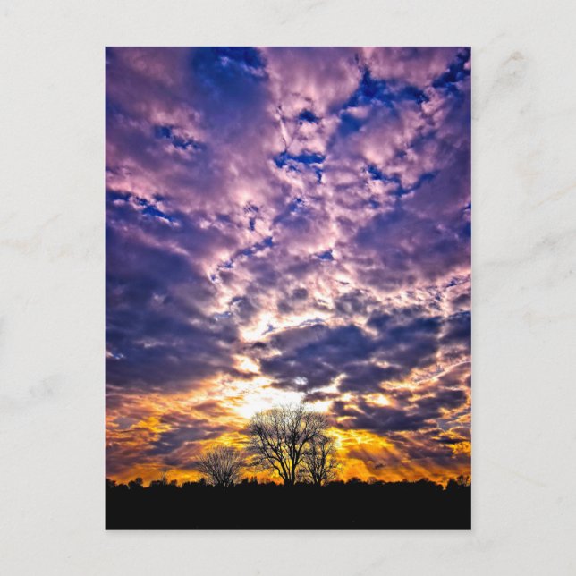 Vintersolnedgångskort Vykort (Framsida)