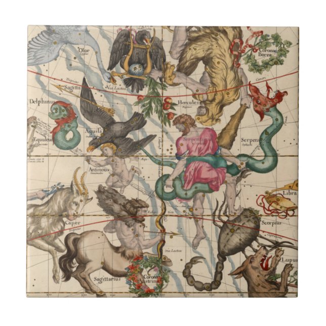 VinterSolstice Kakelplatta (Framsidan)