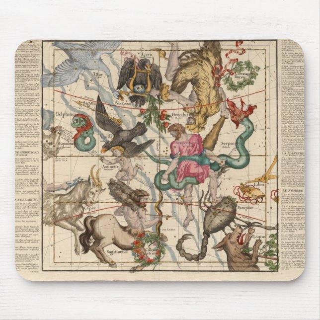 VinterSolstice Musmatta (Framsidan)