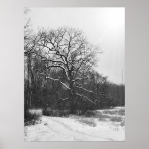 Vintersolstice Poster