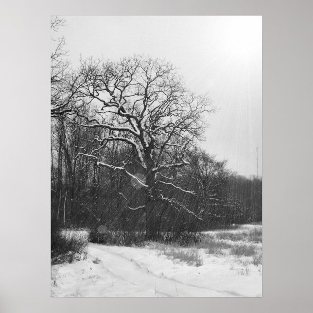 Vintersolstice Poster (Framsidan)