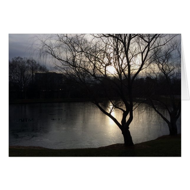 Vintersoluppgång Hälsningskort (Framsidan Horizontal)