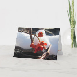 "Vintersömnens ro" Julkort Kort