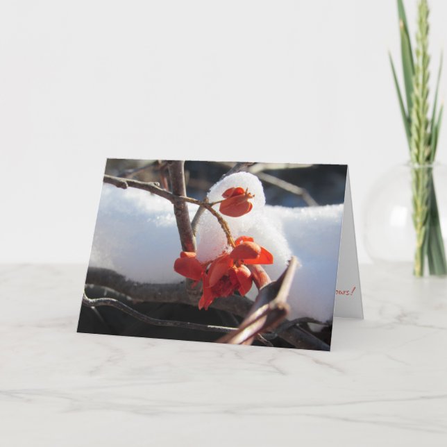 "Vintersömnens ro" Julkort Kort (Framsida)