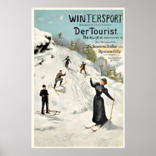Vintersport Snöskor Skidåkning Alperna Berg Poster