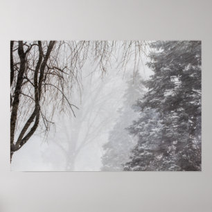Vinterstorm, Ohio. Poster