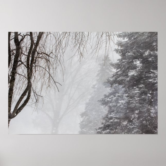 Vinterstorm, Ohio. Poster (Framsidan)