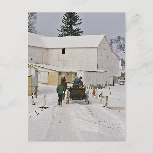 Vintertid Amish Gård-Postkort Vykort (Framsida)