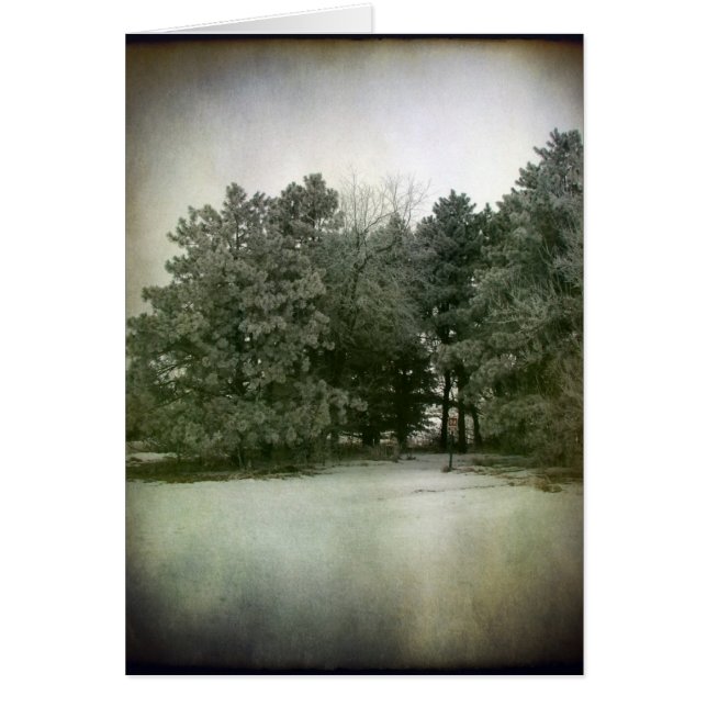 Vintertid Hälsningskort (Framsidan)