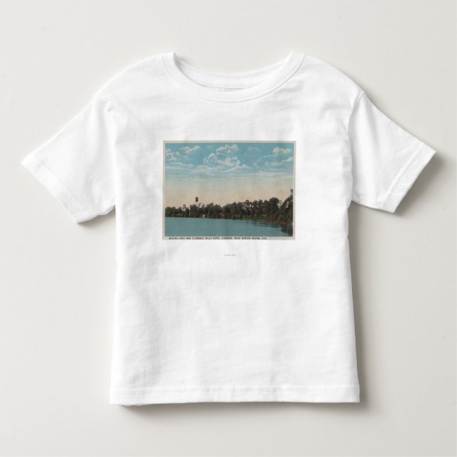 Vintertillflyktsort, Florida - vatten beskådar av T Shirt (Framsida)