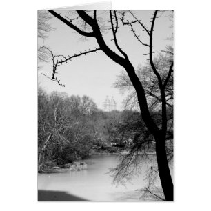 Vinterträd - Central Park NYC Hälsningskort