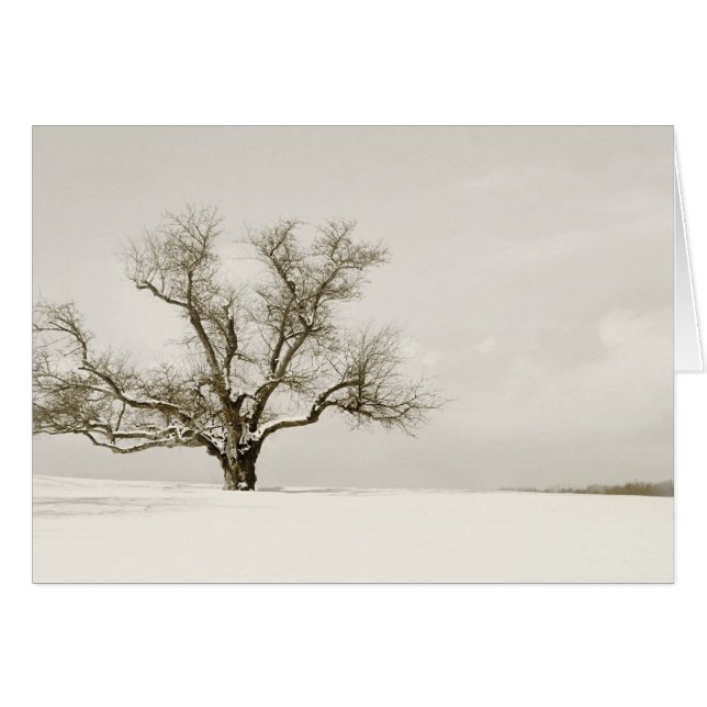 Vinterträd - förbigå hälsningskort (Framsidan Horizontal)