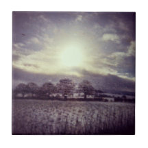 Vinterträd från fält och backe från tåg