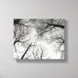 Vinterträd Molnig himmel Canvastryck
