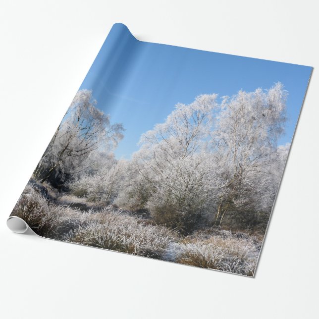 VINTERTRÄD PRESENTPAPPER (Utrullad)