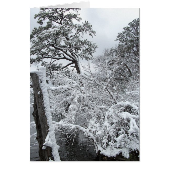 Vinterunderland II Hälsningskort (Framsidan)