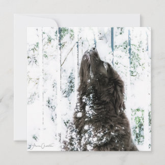 Vinterunderland Julkort