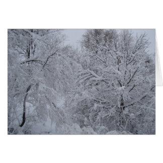 Vinterunderland OBS Kort