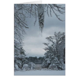 Vinterunderlanddropp Hälsningskort