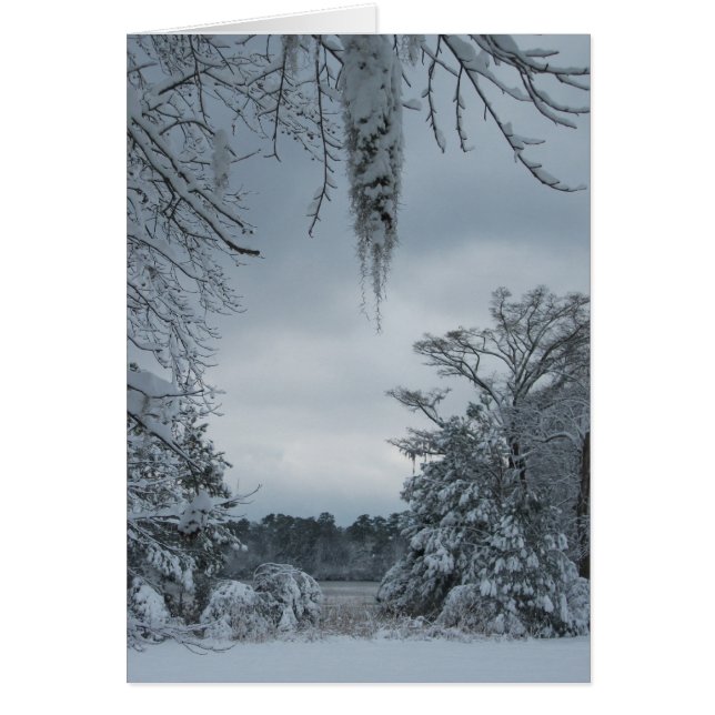 Vinterunderlanddropp Hälsningskort (Framsidan)