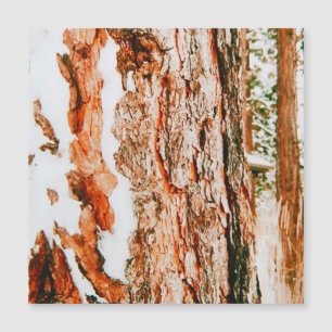 Vinterundret i Bend - Oregon