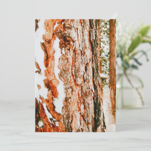 Vinterundret i Bend - Oregon Julkort