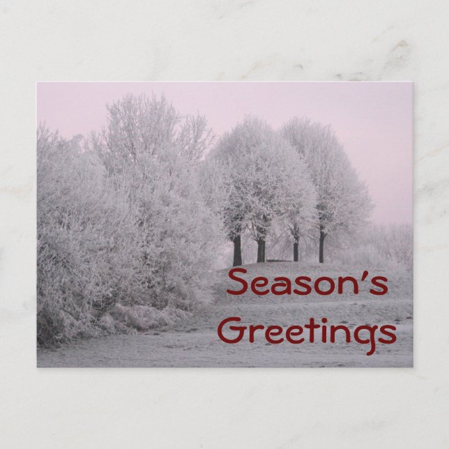 Vinterundret Vykort (Framsida)