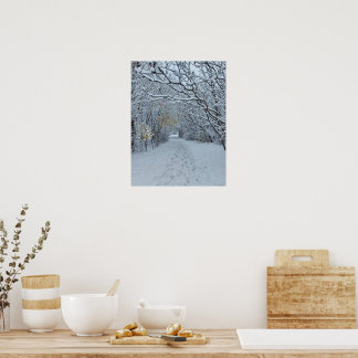 Vinterundrets snöpark tom kort poster